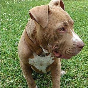 Meet your Posher, Sparkle